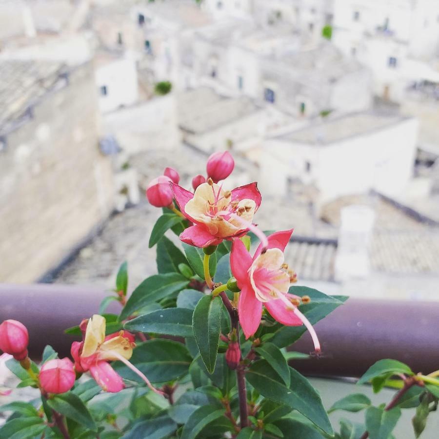 Sole Di Paglia Lägenhet Matera Exteriör bild